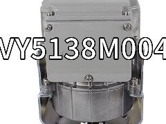 VY5138M0041电动蒸汽阀